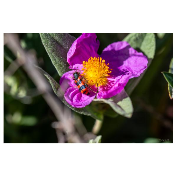 PHOTO84, CLUB, 84 , LUBERON